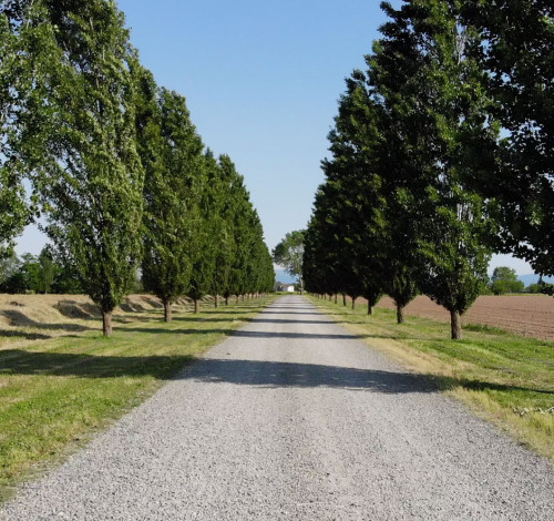 MERLANETTA - Azienda agricola a conduzione biologica